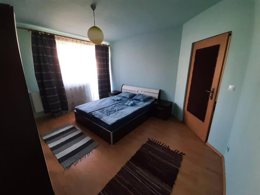 Apartment Casa Luminoasa Cu Parcare Gratuita La Proprietate Baia Mare