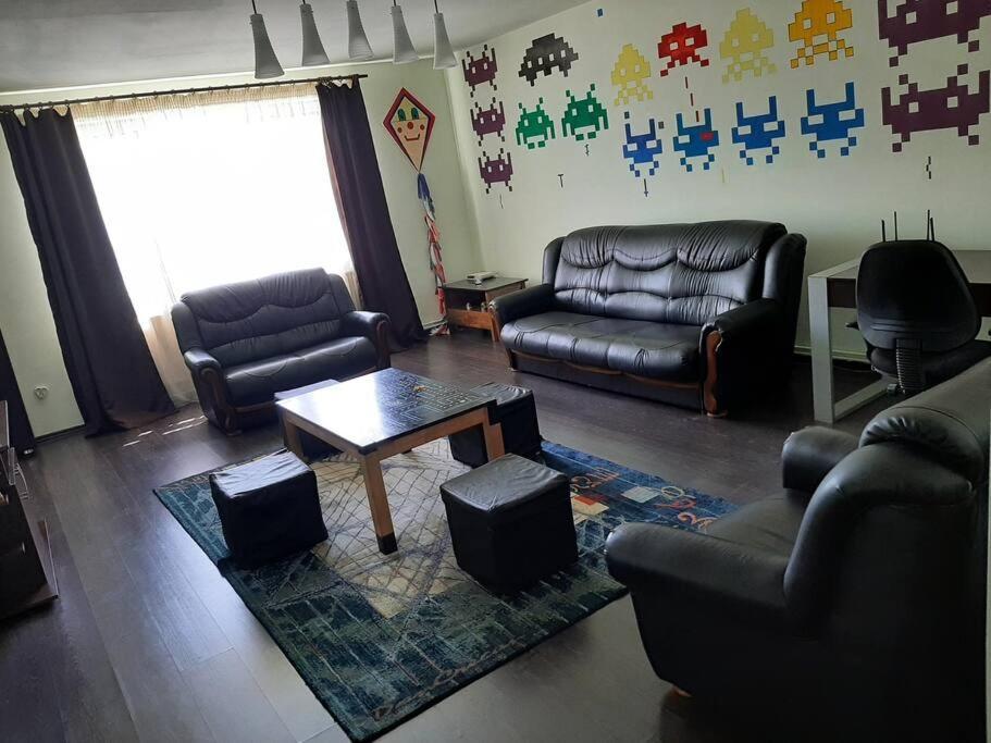 Apartment Casa Luminoasa Cu Parcare Gratuita La Proprietate Baia Mare